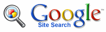 Google_Site_Search_logo